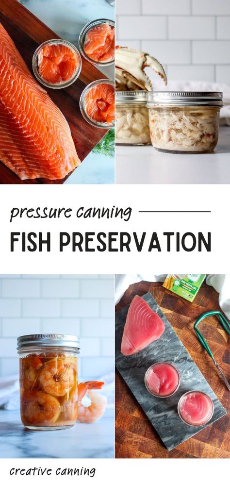 Master pressure canning fish preservation with these 12+ best recipes. From salmon to seafood stews, these recipes offer a delicious way to enjoy shelf-stable fish meals year-round. Find more healthy fish recipes, canned fish recipes, pressure canner recipes, and Pressure Canning Meat Recipes at Creative Canning. Pressure Canning Fish, Canning Crab Meat, Pressure Canning Cabbage Recipes, Canning Meat Recipes, Canning Meals In A Jar Pressure, Canning Salmon, Canning Fish, Pressure Canner Recipes, Homestead Vibes