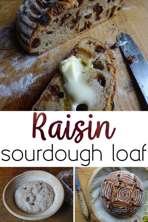 I adapted a basic sourdough loaf recipe by Vanessa Kimbell, baker, teacher, originator of my favourite 24-hour sourdough loaf recipe and the author of 'The Sourdough School: The Ground-breaking Guide to Making Gut-friendly Bread'                #baking #bread #cookery #cooking #loaf #raisin #raisinbread #realbread #recipe #sourdough #sourdough bread #sourdoughloaf Sourdough Raisin Bread Recipe, Sweet Sourdough Bread, Sweet Sourdough Bread Recipe, Sourdough Cinnamon Raisin Bread, Sourdough Cinnamon Raisin, Raisin Bread Recipe, Cinnamon Bread Recipe, Cinnamon Raisin Bread, Real Bread