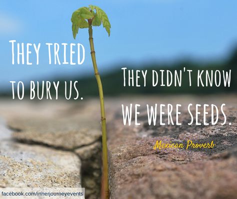 QUOTE: Mexican Proverb: They tried to bury us. They didn't  know we were seeds. Mexican Proverb, Wise Mind, Funny Motivational Quotes, Daily Wisdom, Motivational Quotes For Working Out, Yoga Quotes, All Quotes, Motivational Quotes For Success, Wonderful Words