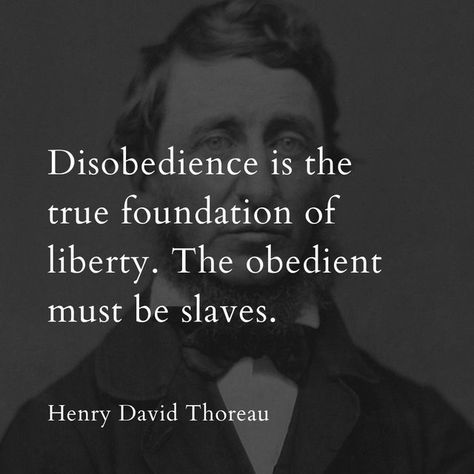 Sage Sayings, David Thoreau Quotes, Henry David Thoreau Quotes, Marshal Arts, Thoreau Quotes, Hope Life, Simple Reminders, Henry David Thoreau, Zindagi Quotes