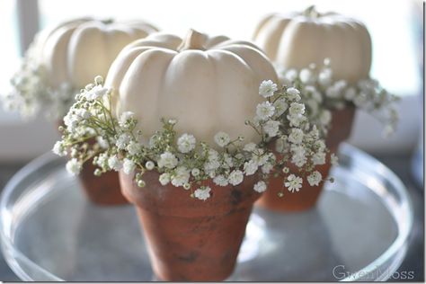 White Pumpkin Vase Centerpiece, White Pumpkin Bridal Shower Ideas, Pumpkin Centerpieces Baby Shower Girl, White Pumpkin Baby Shower Ideas, Little Pumpkin Baby Shower Centerpieces, Baby Shower Pumpkin Centerpieces, Pumpkin Centerpieces Baby, Drink Quotes, White Pumpkin Centerpieces