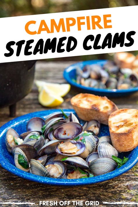 These campfire Steamed Clams with garlic white wine sauce is a fancy feeling camping meal but is super simple to make! Camping food | Dutch oven recipe Coastal Camping, Camping Lunch Ideas, Steamed Clams Recipe, Dutch Oven Recipe, Garlic White Wine Sauce, Camping Lunch, Camp Recipes, Grilled Recipes, Camping Meal