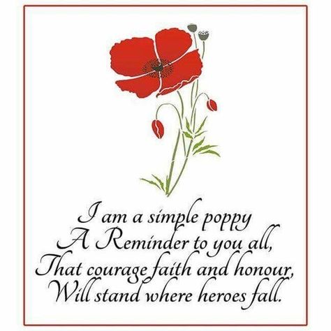 Remembrance Day Poems, Remembrance Day Pictures, Remembrance Day Quotes, Memorial Day Poppies, Remembrance Day Posters, Remembrance Day Activities, American Legion Auxiliary, Remembrance Day Art, Poppy Craft