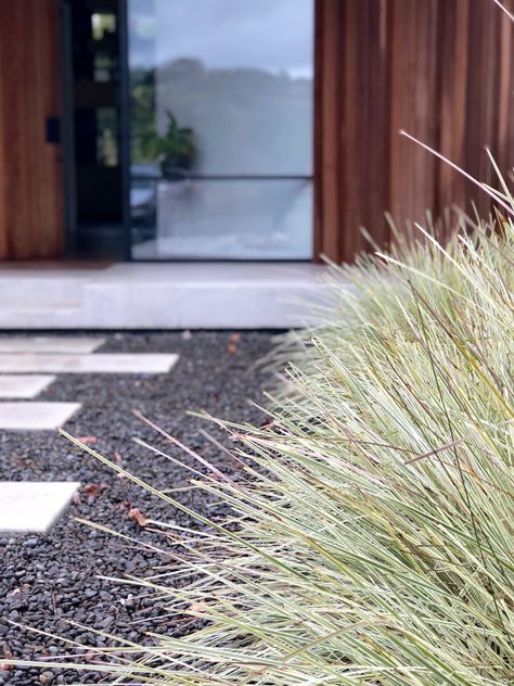 Lomandra white sands Concrete Stepping Stones, Plants Ideas, Beach Garden, Beach Gardens, Outdoor Plants, Small Garden, Home Projects, Landscape Design, Landscaping