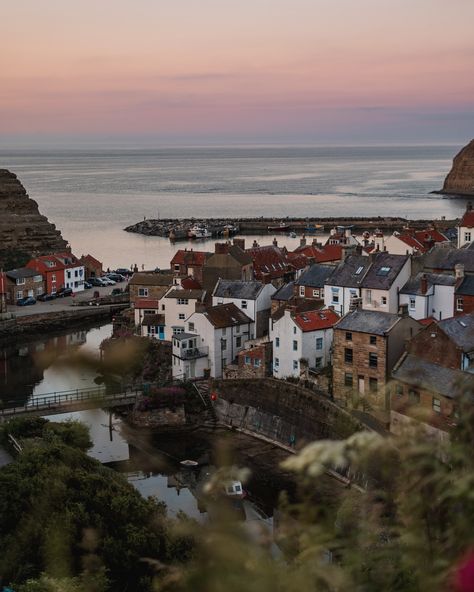 Postcards from some of my favourite places on the North Yorkshire coast, a part of the country I relish coming back to every single year. It’s rugged, it’s wild and it has some of the prettiest villages around 💛 Here’s a few of my favourites: - Robin Hood’s Bay - Staithes - Runswick Bay - Sandsend - Whitby - Thornton-le-Dale - Hutton-le-Hole - Sinnington - Helmsley Have you explored this corner of Yorkshire before? Runswick Bay, Yorkshire Coast, North Yorkshire, Robin Hood, Relish, Cornwall, Cool Places To Visit, My Favourite, Yorkshire