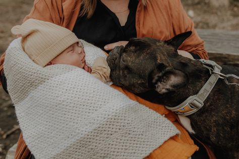 Newborn Photoshoot, Baby Photos