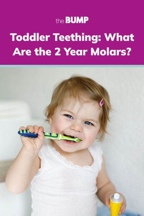 2 Year Molars, Teething Fever, Toddler Teething, Teething Symptoms, Teething Toddler, Toddler Milestones, Teething Relief, Headache Relief, Runny Nose