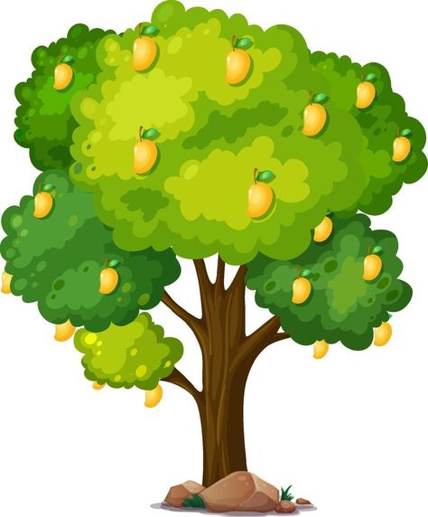 Yellow mango tree isolated on white background Mango Tree Drawing, Mango Tree Illustration, Tree Animation, Durian Tree, Yellow Mango, Papaya Tree, Emo Roblox, Bee Classroom, Animated Pictures