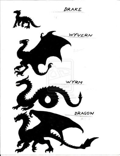 This is important and necessary if you have to identify the beast properly for the authorities. Creaturi Mitice, Creature Fantasy, Anime Karakterek, Mythical Beast, Dragon Pictures, Dragon Artwork, Mythical Creatures Art, Mythological Creatures, Dragon Drawing