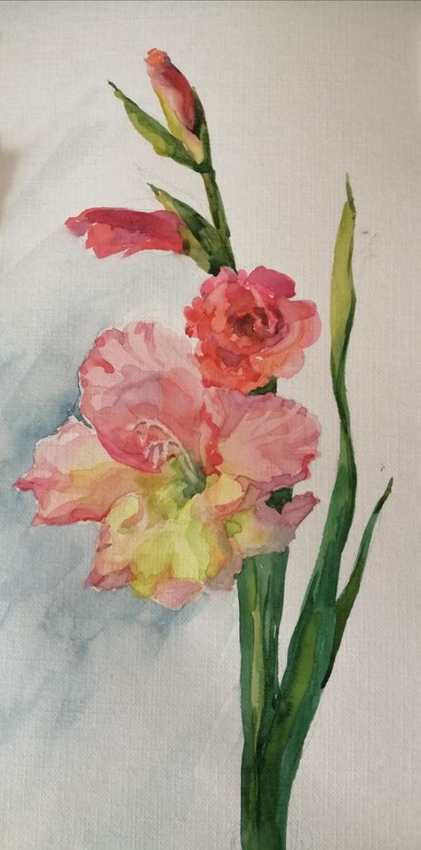 Gladiolus Painting Acrylic, Gladiola Painting, Botanical Sketchbook, Paintings Easy, Gladiolus Flower, Floral Watercolor Paintings, Watercolor Paintings Easy, Watercolor Ideas, Flower Art Painting