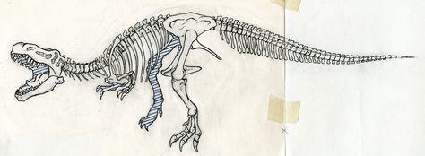 T-Rex Skeleton Dino Reference, Trex Skeleton, Creature Anatomy, Skeleton Sketch, Skeleton Tattoo, Boy Rooms, Skeleton Tattoos, Dinosaur Skeleton, The Pose