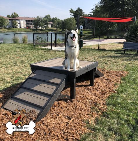 Natural Dog Park Equipment and Products | Gyms for Dogs Fun Backyard For Dogs, Diy Dog Park Equipment, Outdoor Play Area For Dogs, Dog Climbing Structure, Dog Playground Backyard Diy, Backyard Dog Park, Dog Playground Backyard, Dog Fort, Dog Park Equipment