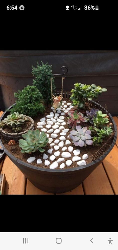 Fairy Garden Pots, Succulent Garden Design, نباتات منزلية, Fairy Garden Designs, Fairy Garden Crafts, Succulent Garden Diy, Dish Garden, Succulent Gardening, House Plants Decor