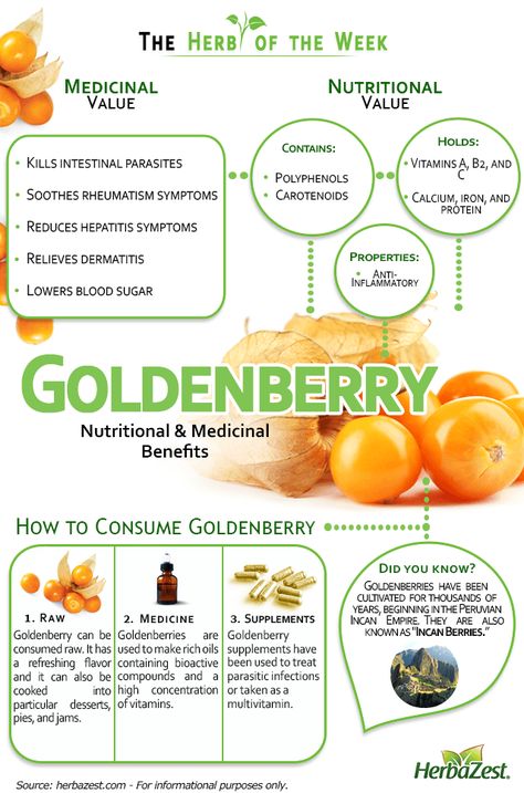 Golden Berry, Golden Berries, Excellent Health, Tomato Nutrition, Calendula Benefits, Fruit Health Benefits, Nutrition Sportive, Matcha Benefits, Lemon Benefits