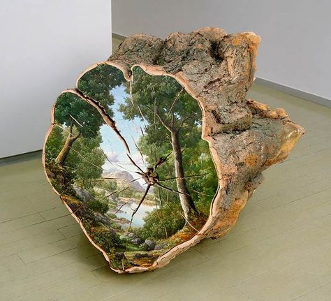 Log Art Ideas Tree Trunks, Log Art, Hawaiian Artists, Tree Logs, Fallen Tree, Tree Trunks, Land Art, Nature Images, Autumn Trees