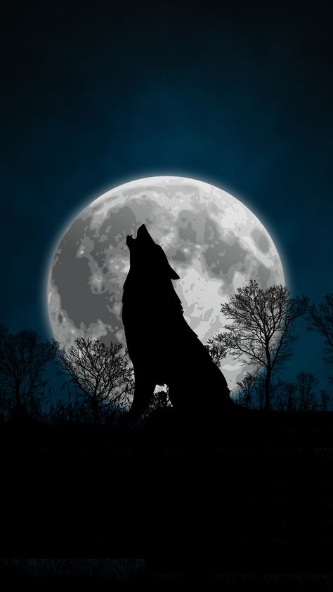 Werewolf Iphone Wallpaper, Shadow Wolf Art, Wolf Growling, Gaara Tattoo, Scary Wolf, Lonely Wolf, Pet Wolf, Shadow Wolf, Mystical Wolf