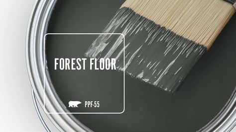 PPF-55 FOREST FLOOR | Behr Paint Colors Behr Hostaleaf, Behr Moody Green, Black Outdoor House Paint, Behr Dark Green Paint Colors, Behr Green Paints, Behr Green Paint Colors, Moody Basement, Behr Paint Colors Grey, Entryway Paint Colors