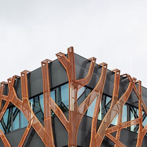 Oak Tree Design, School Facade, Parametric Architecture, Building Facade, Corten Steel, Metal Buildings, Facade Design, Tree Design, Oak Tree