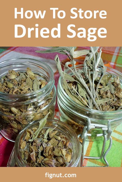 Sage Storage, Clary Sage Uses, Sage Uses, Dry Sage, Mason Jar Photo, Sage Flowers, Dried Sage, Outdoor Herb Garden, Harvesting Herbs