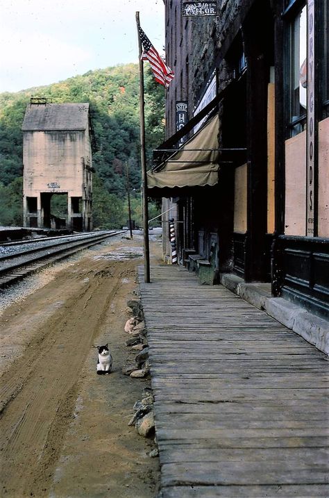 Rural Appalachia Aesthetic, Montana Cabin Aesthetic, Appalachian Mountains Creepy, Old Gods Of Appalachia Aesthetic, Appalachia Gothic, Appalachian Architecture, Northeast Gothic, Haunted Appalachia, Hillbilly Aesthetic