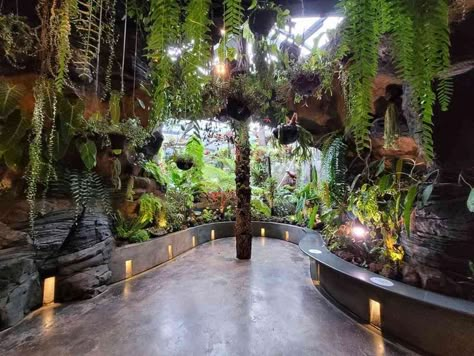 Public Aquarium Architecture, Reptile Exhibit, Zoo Exhibit Design, Zoo Aesthetic, Jungle Habitat, Reptile Store, Aquarium Architecture, Planet Zoo Inspiration, Public Aquarium