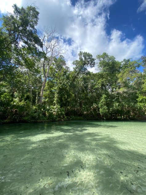 Weeki Wachee River, Florida #summer #river #springs #swimsuit #Florida #sand #clearwater Weeki Wachee, Clearwater Florida, Clean Air, Miami Florida, Summer Sun, Clear Water, Springs, Miami, Florida