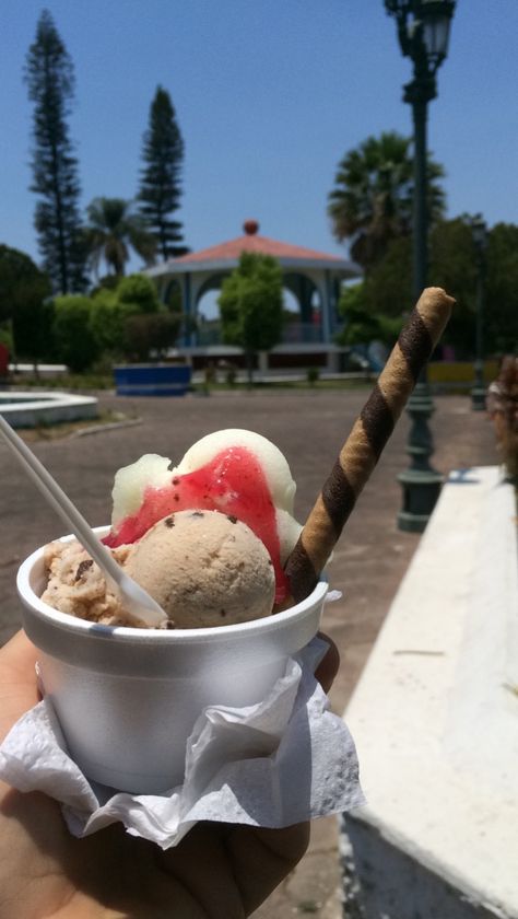 Tepic, nayarit México. Nieve de garrafa- ice cream Relaxing Photos, Dahlia, Ice Cream, Cream, Quick Saves