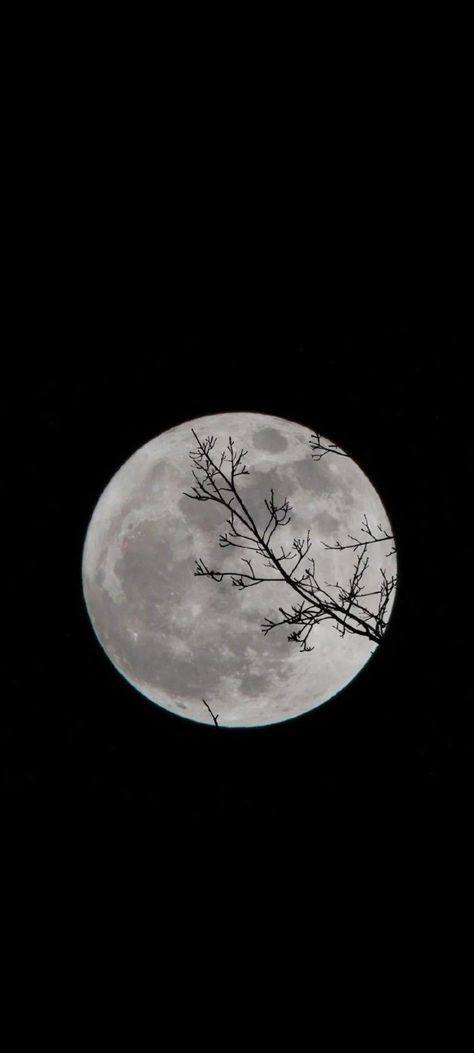 Lunar Moon Aesthetic, Morgan Core, Moon Background, Moon Lover, Lunar Moon, Scary Dogs, Luna Moon, Shoot The Moon, Bike Photo