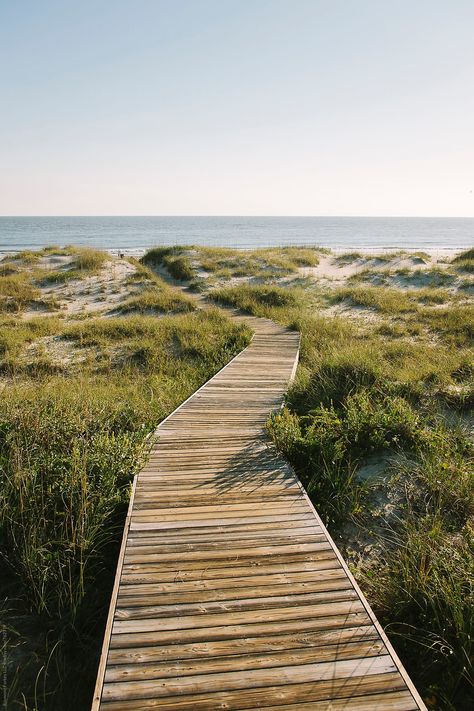 Beach Aesthetic House, Beach Boardwalk Aesthetic, Boardwalk Landscape, Floating Boardwalk, Beach Lifestyle Aesthetic, Boardwalk Aesthetic, Beach Landscape Design, Beach Life Style, Beach Landscaping