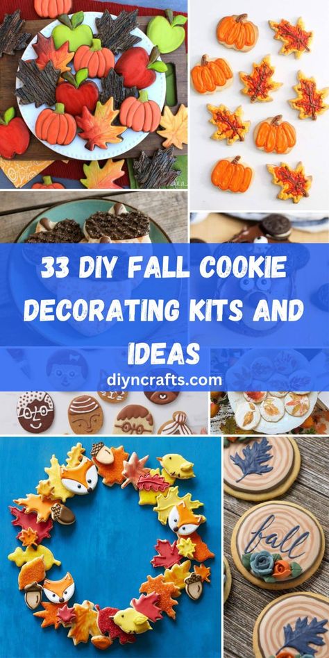 33 DIY Fall Cookie Decorating Kits and Ideas Cornacopia Craft, Fall Cookie Decorating, Sunflower Cookies, Valentine Day Video, Cookie Decorating Kit, Cookie Decorating Kits, Pumpkin Stands, Cookie Bouquet, Bear Cookies