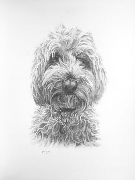 Drawing commission from a photograph | #cockapoo #petportrait #petart #pencildrawing #pencilart #petprints #commission Dog Foto, Drawing Commissions, Dog Sketch, Nature Art Painting, Animal Sketches, Botanical Drawings, Portraits From Photos, Dog Drawing, Dog Paintings