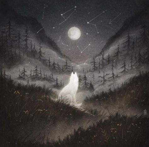 Wolf Iphone Wallpaper, Shadow Wolf, Canine Art, Wolf Pictures, The Void, Fox Art, Random Art, Wolf Art, Shooting Stars