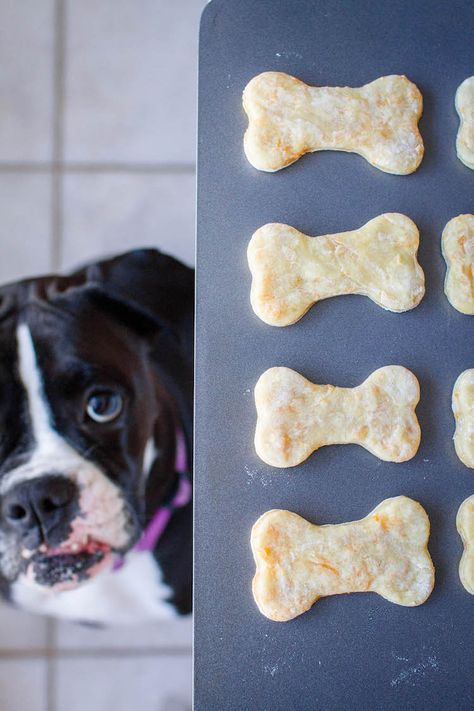 Homemade Dog Cookies, Easy Dog Treat Recipes, Puppy Obedience Training, Dog Biscuit Recipes, Doggy Treats, Dog Food Treats, Easy Dog Treats, Healthy Dog Treats Homemade, Positive Dog Training