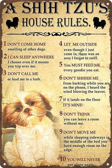 Amazon.com : Habilboi A Shih Tzu'S House Rules Metal Aluminum Sign Vintage Wall Decor for Home Kitchen Bar Coffee Wall Art Funny Sarcastic Metal 8x12inchTin Sign : Home & Kitchen Home Kitchen Bar, Wall Art Funny, Coffee Wall, Coffee Wall Art, Bar Coffee, Art Funny, House Rules, Funny Sarcastic, Vintage Wall Decor