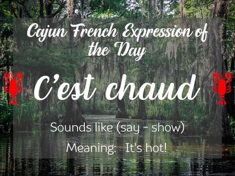 Cajun French Sayings, Cajun People, Creole People, Creole Culture, French Sayings, Mardi Grad, French Love Quotes, Cajun French, Swamp Water