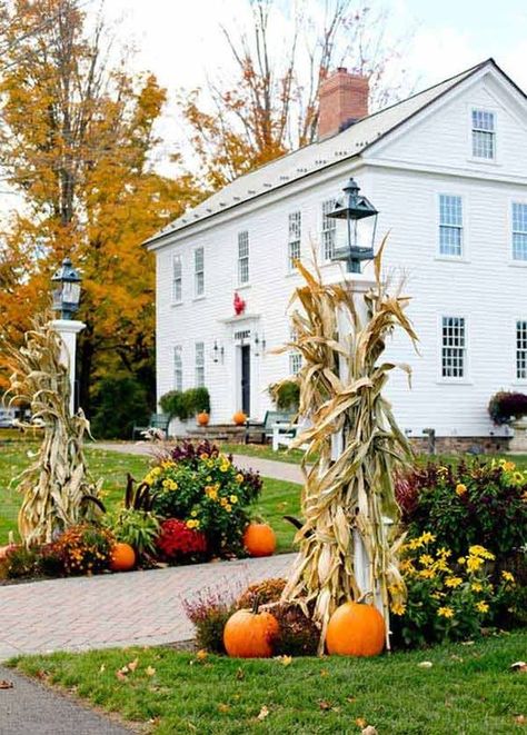 Fall Curb Appeal, Fall Yard Decor, Mums In Pumpkins, Outdoor Fall Decor Ideas, Corn Stalks, Unique Farmhouse, Autumn Decorating, Fall Outdoor Decor, Fall Front