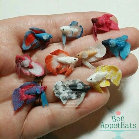 Mini Choses, Crea Fimo, Clay Fish, Tanah Liat, Polymer Clay Animals, Cute Polymer Clay, Polymer Clay Miniatures, Clay Animals, Clay Miniatures