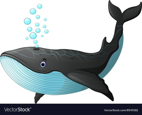 Whale Animation, Whale Images, Animale Marine, Whale Vector, Whale Cartoon, Baleen Whales, Printable Border, Big Whale, Cartoon Whale