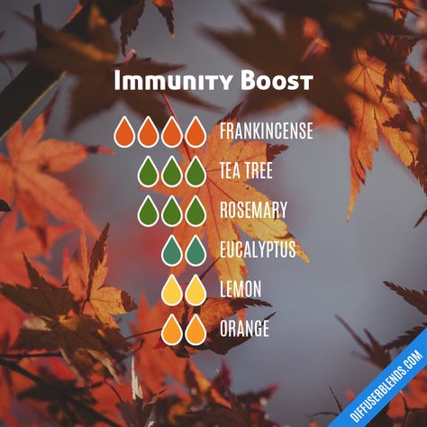 Immunity Boost | DiffuserBlends.com Fall Essential Oils, Diffuser Oils, Fall Diffuser Blends, Essential Oil Diffuser Blends Recipes, Essential Oil Remedy, Diffuser Oil, Oil Remedies, Essential Oil Diffuser Recipes, Yl Essential Oils