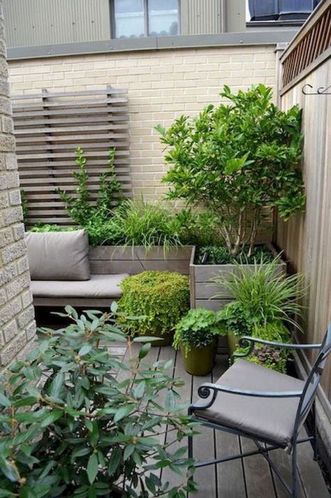 Small Garden Landscape Design, Small Garden Landscape, Small Courtyard Gardens, Small Backyard Landscaping Ideas, Courtyard Gardens Design, Small Courtyards, Backyard Landscaping Ideas, Garden Landscape Design, Small Garden Design