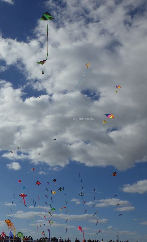 Kite Festival Video, Kite Videos Festival, Kite Aesthetic Video, Kite Snapchat Story, Patang Kite Snap, Kite Background, Kite Video, Kite Shop, Castle Island