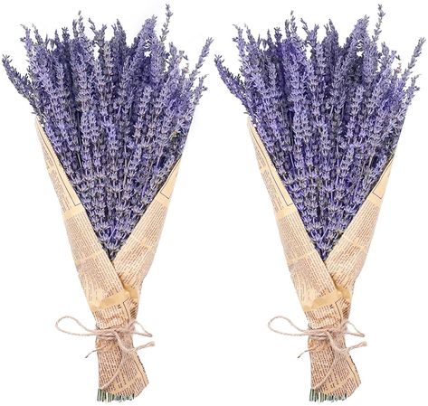 Dried lavender bundle 100% Eco Friendly, Biodegradable, Natural Dried Lavender. No need to water. No maintenance. Beautiful ALL YEAR around. Strong Lavender fragrance great for aromatherapy, weddings, receptions, events, centerpieces, graduations, presents, Mother's Day, decorations, accents, crafts, soaps, epoxy resin, sachets, flower arrangements and more. Bundle measures approx. 16.1" inches Your choice of 1 bundle - bouquet or 2. Lavender Bundle, Dried Potpourri, Purple Flower Bouquet, Dried Lavender Flowers, Lavender Wreath, Sachet Bags, Floral Craft, Dried Lavender, Lavender Flowers