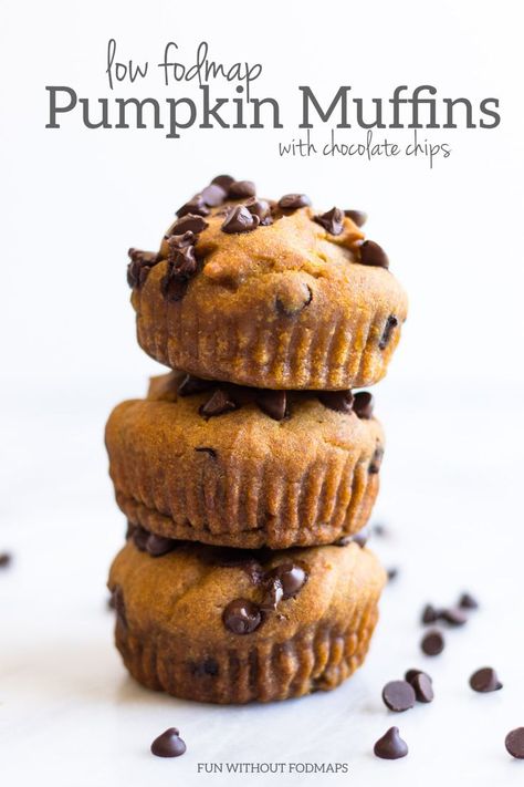 Low Fodmap Muffins Recipes, Pumpkin Muffins With Chocolate Chips, Low Fodmap Pumpkin, Muffins With Chocolate Chips, Crohns Recipes, Muffins With Chocolate, Fodmap Breakfast, Low Fodmap Snacks, Fodmap Snacks