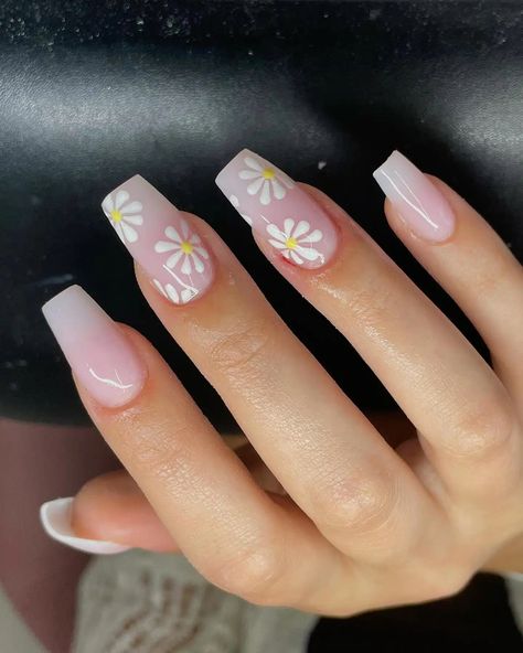 Ombre Nails With Daisy, Plain Nails With Flowers, Square Daisy Nails, Colorful Daisy Nails, Squoval Acrylic Nails Spring, Spring Nail Inspo Square, Pink Nails With Daisies, Spring Nail Art Square, Neutral Flower Nails