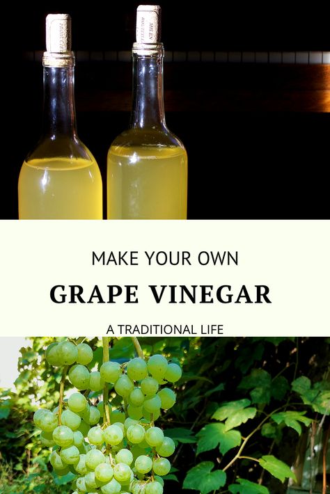 How to Make Grape Vinegar Corn Free Diet, Make Vinegar, Keto Sauce, Grape Vinegar, How To Make Vinegar, Wine Making Recipes, Infused Vinegars, Grape Oil, Grape Jam