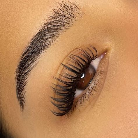 Wet Lash Lash Extensions, The Wet Look Lashes, Wet Looking Eyelash Extensions, Long Wet Lash Look, Wet Set Lash Extensions Open Eye, Lash Wet Sets, Mascara Effect Lash Extensions, Wet Wispy Lash Extensions Map, Long Wet Set Lash Extensions