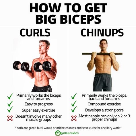 Defined Arms, Bigger Biceps, Easy Exercise, Big Biceps, How To Get Bigger, Love Hate Relationship, Compound Exercises, Biceps And Triceps, Bulk Up