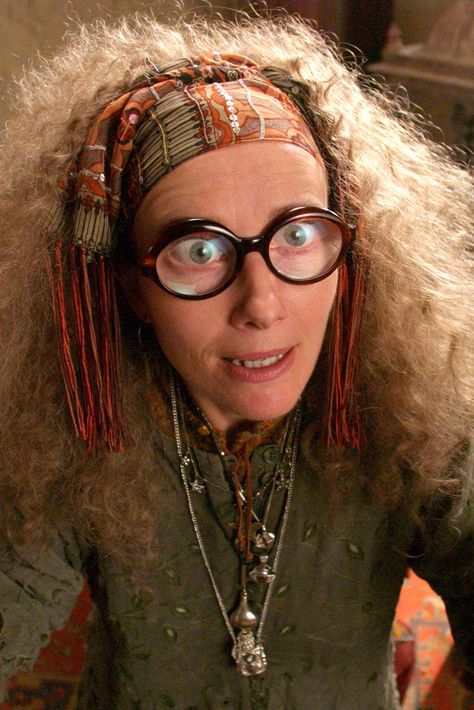 Which Harry Potter Quote Matches Your Zodiac Sign? Professor Trelawney, Harry Potter Quote, About Harry Potter, Harry Potter Costume, Emma Thompson, Harry Potter Quotes, In Another Life, Heart For Kids, Real Life Stories