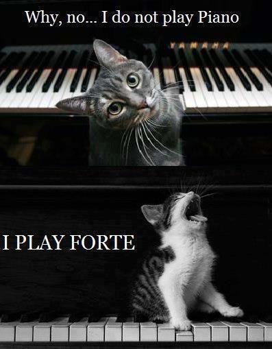 For my music geeks who like cats Piano Forte, Musical Jokes, Music Puns, Musician Humor, Band Jokes, Quotes Music, Music Jokes, Music Nerd, Band Nerd