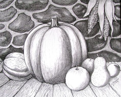 Pumpkin Project Pencil Drawings Ideas, Drawing Lessons For Beginners, Basic Drawing Techniques, Still Life Pencil Shading, Nature Still Life, Basic Drawing For Kids, Fall Paintings, Halloween Wallpaper Iphone Backgrounds, Pumpkin Drawing